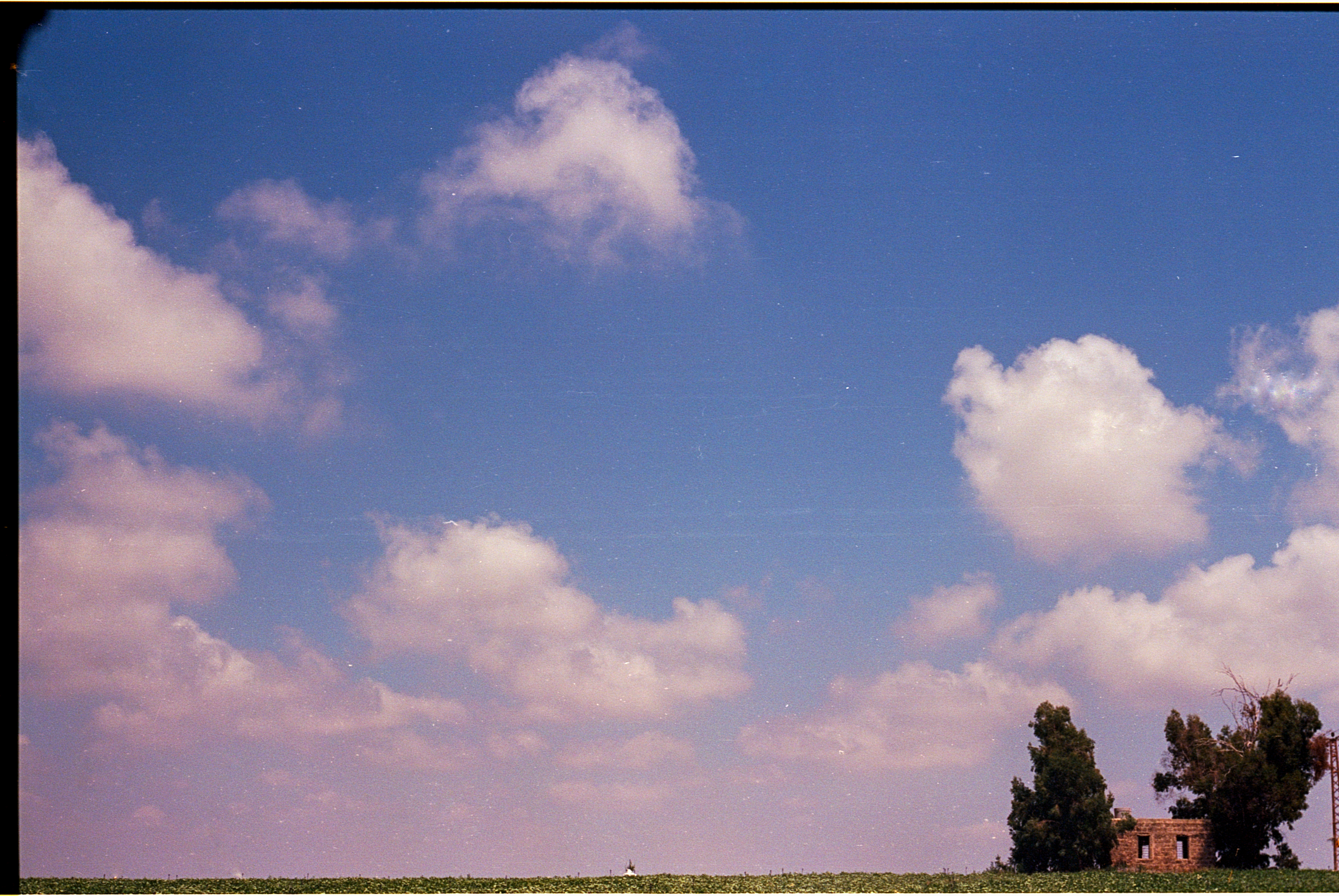 Frame 008