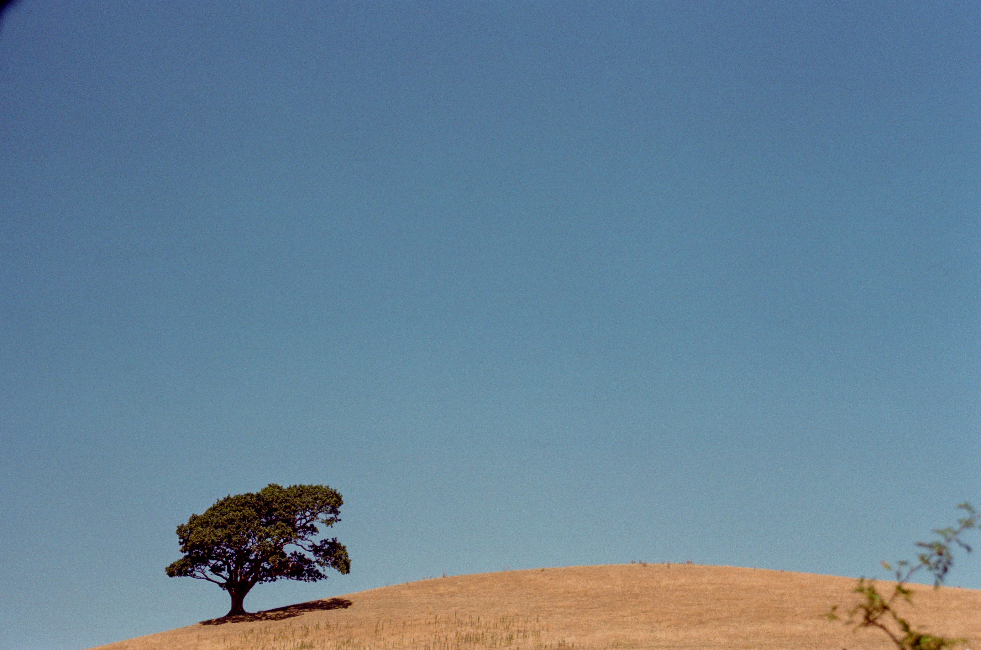 Frame 084